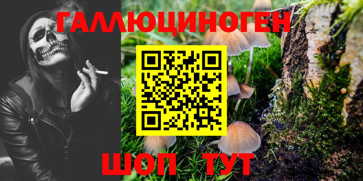 Галлюциногенные грибы MAGIC MUSHROOMS Семёнов