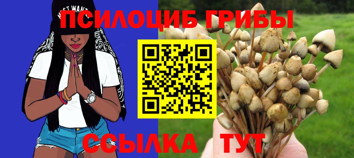Семёнов  Псилоцибиновые грибы прущие грибы  Вход с VPN 